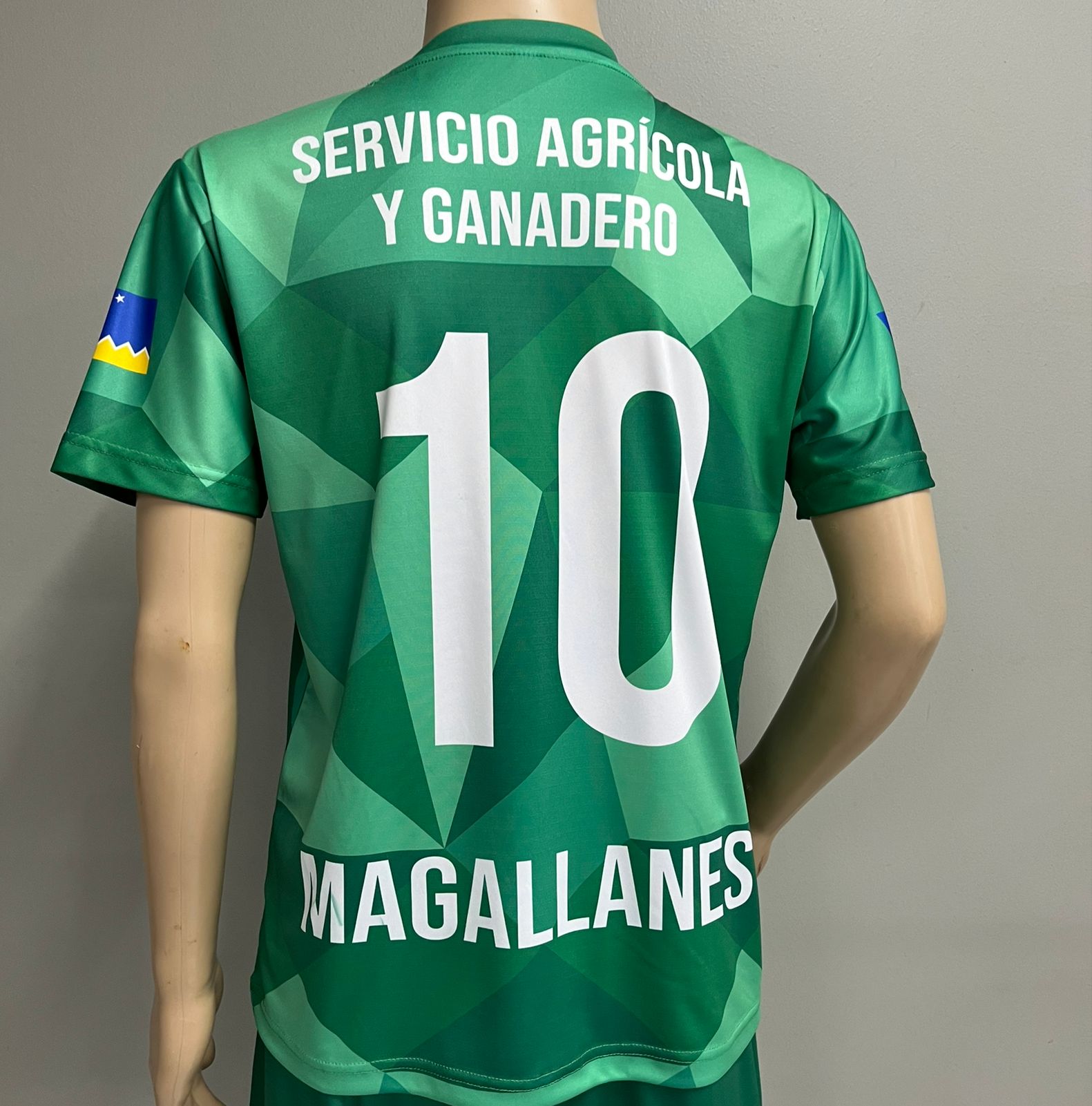 Polera Oficial SAG - Olimpiadas 2025 - Imagen 2